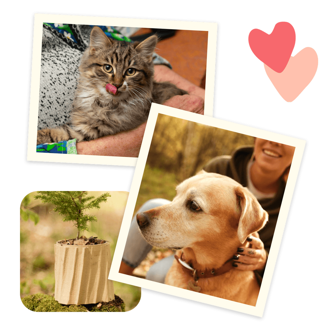 Pohřebí služba undefined