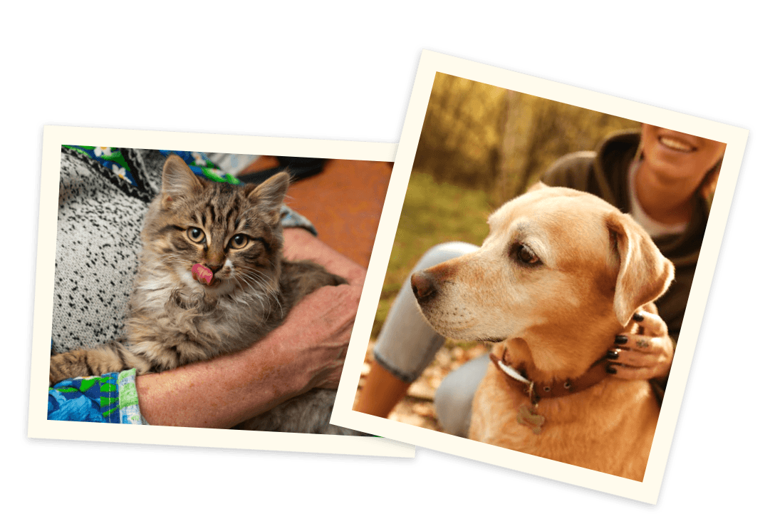 Pohřebí služba undefined