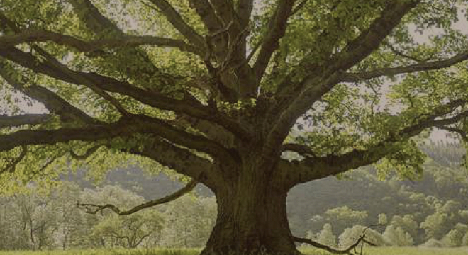 Netradiční pohřeb