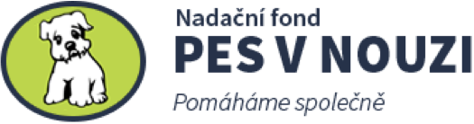 PES V NOUZI